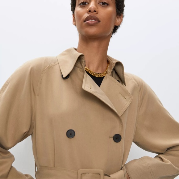 ISO - Aritzia Babaton Torino Trench Coat! - Picture 2 of 4